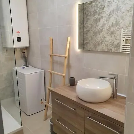 Apartment Raffinement Proche Centre Grenoble